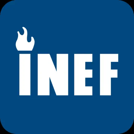 INEF Читы