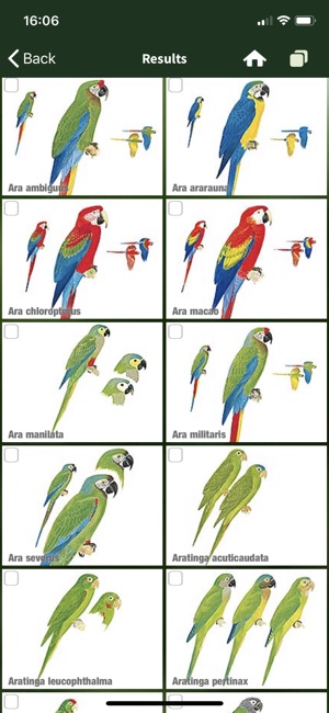 All Birds Colombia field guide(圖3)-速報App