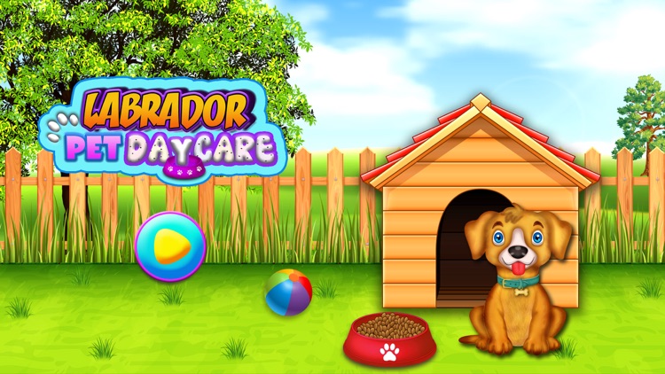 Labrador Pet Daycare