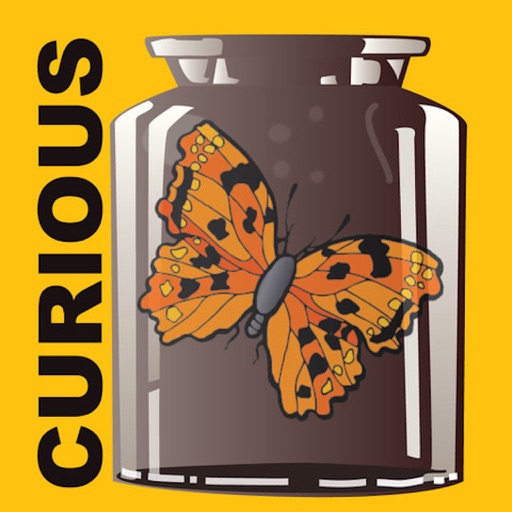 Cabinet of Curiosities Icon