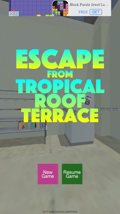 Escape from Roof Terrace