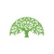 With the New Life Ministries app, you can live stream the New Life Live broadcast or catch up on archived broadcasts