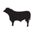 BEEF
