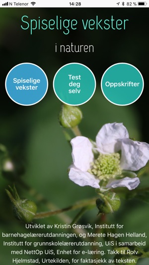 Spiselige vekster i naturen(圖1)-速報App