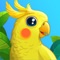 Enjoy the cute pet world and birds that live there