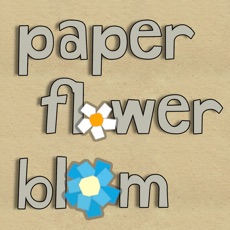 Activities of Paper Flower