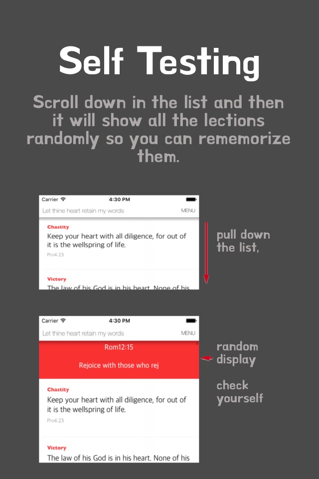 Remember - MemorizingScripture screenshot 2