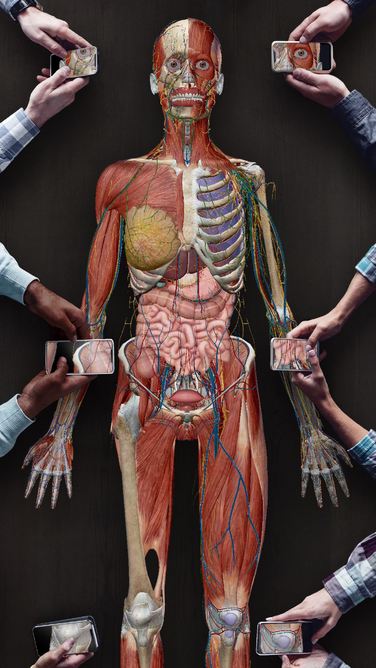 Screenshot do app Human Anatomy Atlas 2021