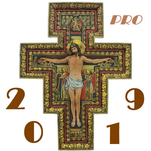 + 2019 Pro
