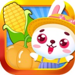 Childrens Farm Playland