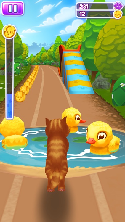 Pet Run - Puppy Dog Run Game screenshot-4