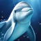 Fish have wandered off from the ocean sanctuary and it's your job to bring them home again