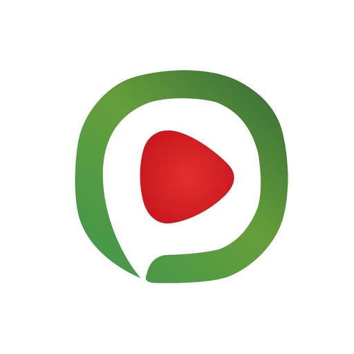 西瓜影音logo