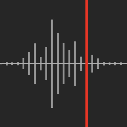 Awesome Voice Recorder X