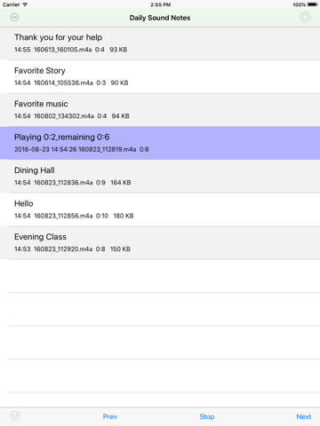 Daily Sound Notes - náhled