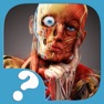 Get Тело человека. Викторина for iOS, iPhone, iPad Aso Report