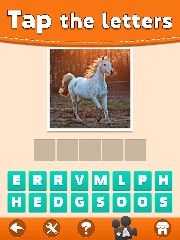 Animals Quiz - Word Pics Game screenshot 3