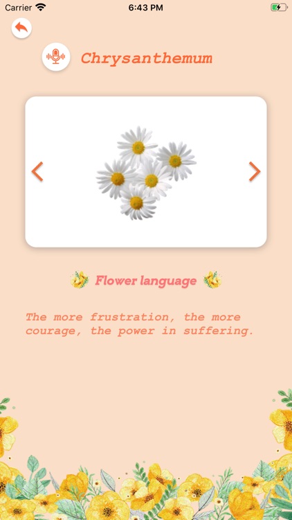 CognitionFlowers