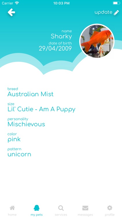 pets screenshot-4