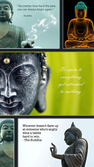 Buddha Quotes & Wallpapers(圖5)-速報App