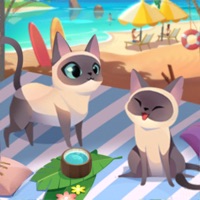 Buster Cat