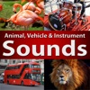 Animal Sounds - Learn Fun Play