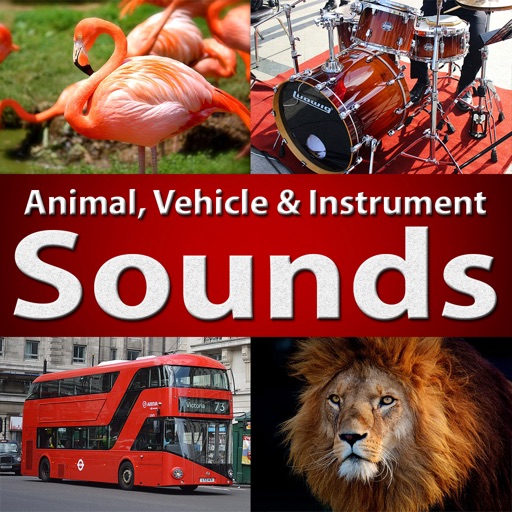 Animal Sounds - Learn Fun Play Icon