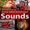 Animal Sounds - Learn Fun Play