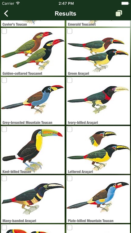 All Birds Colombia field guide screenshot-3