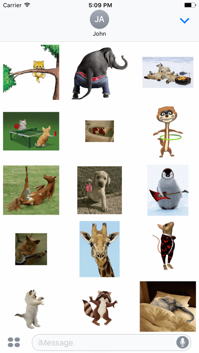 How to cancel & delete Animated Funny Animal & Cat & Baby GIF Stickers from iphone & ipad 1