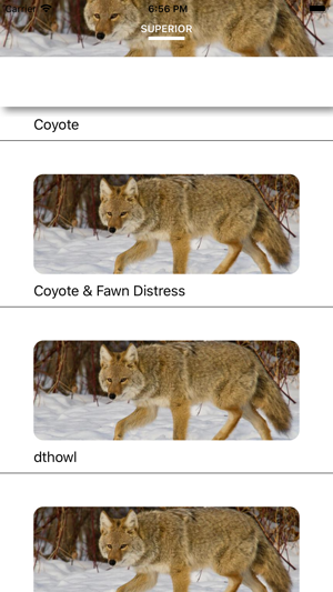 Coyote Calls - Hunting Sounds(圖4)-速報App