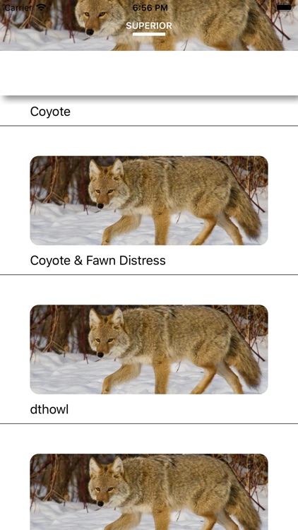 Coyote Calls - Hunting Sounds screenshot-3