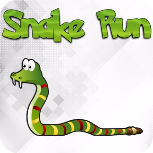 Snake-Run