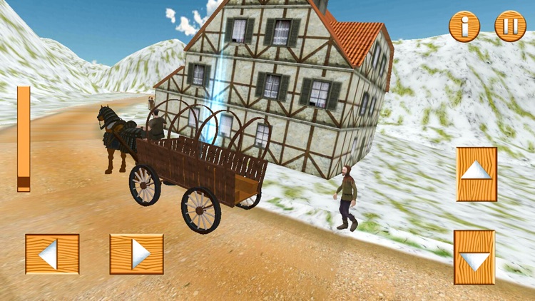 My Horse Buggy Transportation