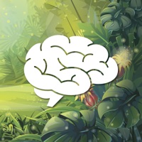 Find the Brain sur PC