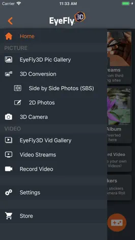 Game screenshot EyeFly3D Pro hack