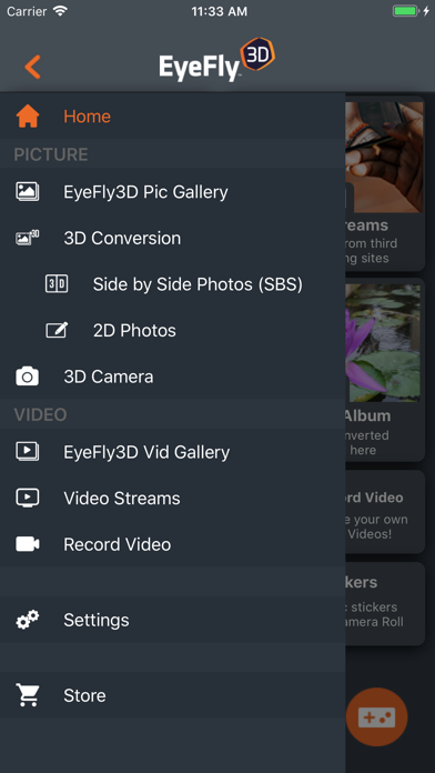 EyeFly3D Pro screenshot 3