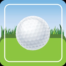 Divot for Range Practice