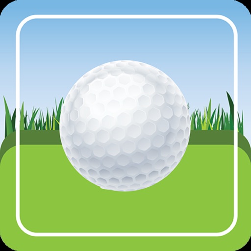 Divot for Range Practice