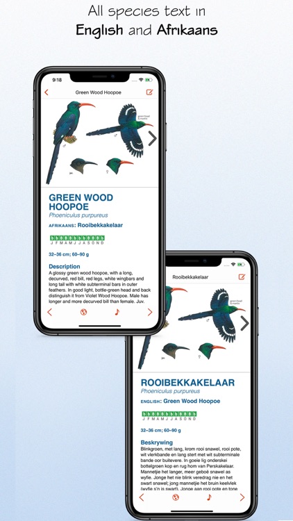 Sasol eBirds Southern Africa
