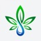 The complete cannabis & Hemp industry digital platform