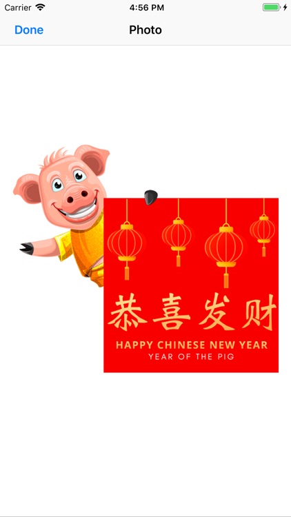Golden Chinese Pig Year 2019