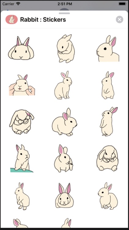 Rabbit : Stickers