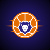 Basketball Löwen