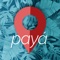 Payá App Travel Guide has everything you need for an easy and relaxed trip to the beautiful beaches of the Nicoya Peninsula, Costa Rica, known as one of the six Blue Zones in all the World