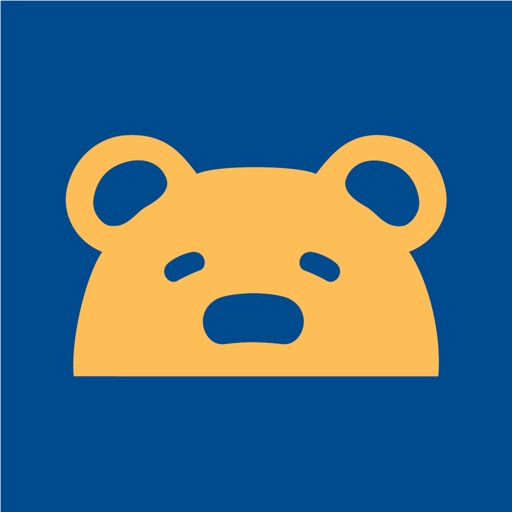 Brown Bear Car Wash