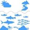 海や魚に関する　クイズゲーム