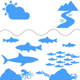 海や魚に関する クイズゲーム By Akane Matsubara