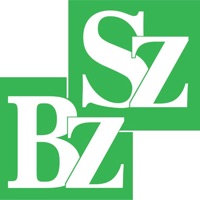  SZBZ Digital (E-Paper) Alternative