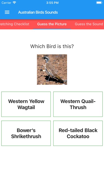 Australian Birds Sounds screenshot-4